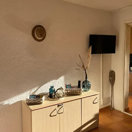 T3 Climatise Pour 4 A 6 Personnes Proche En Corse Linguizzetta