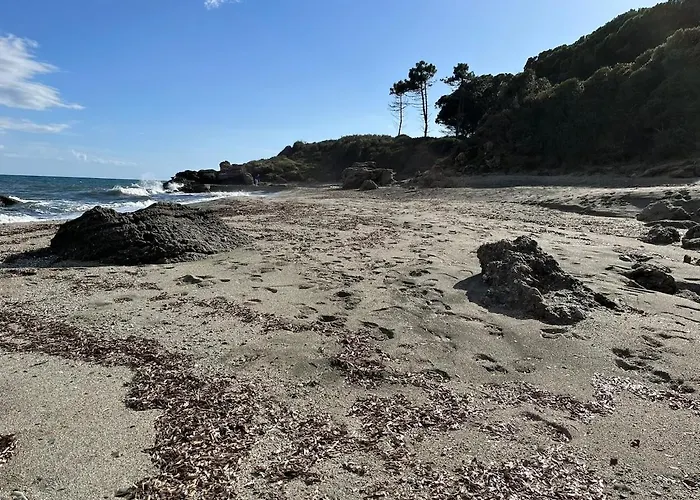 T3 Climatise Pour 4 A 6 Personnes Proche En Corse *