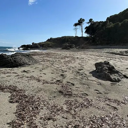T3 Climatise Pour 4 A 6 Personnes Proche En Corse *