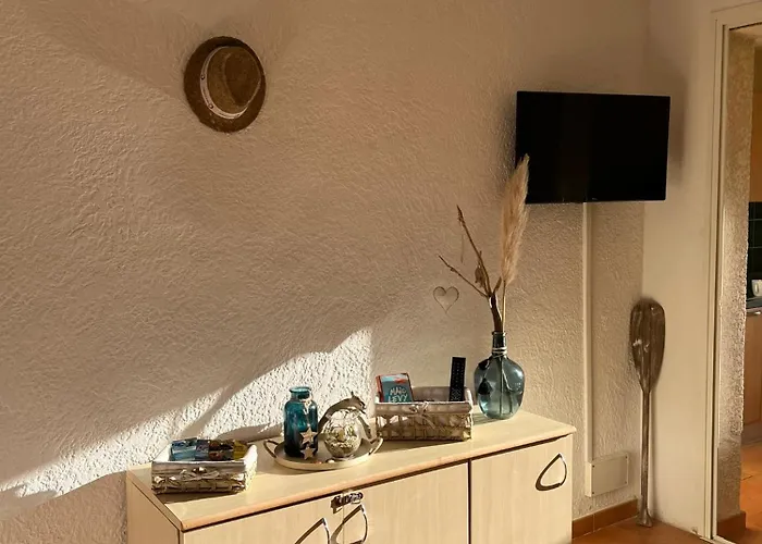 T3 Climatise Pour 4 A 6 Personnes Proche En Corse Linguizzetta