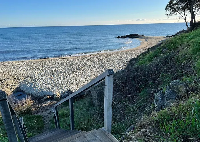 T3 Climatise Pour 4 A 6 Personnes Proche En Corse Appartement Linguizzetta